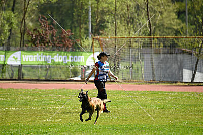 Be Eddy de Fontemordant