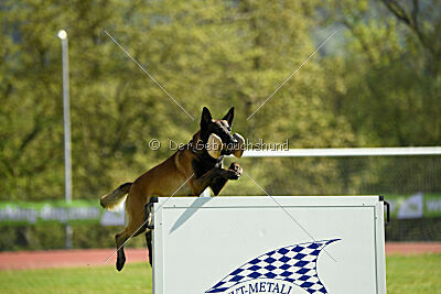 Be Eddy de Fontemordant