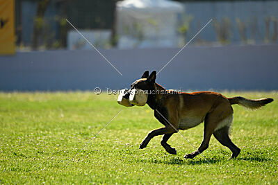 Be Eddy de Fontemordant