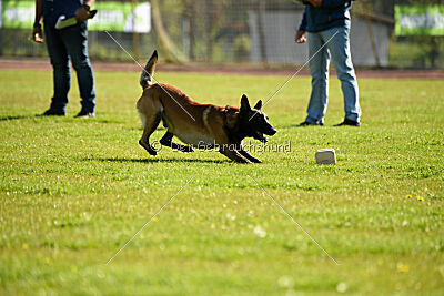 Be Eddy de Fontemordant