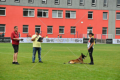 Be Eddy de Fontemordant