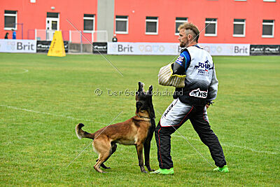 Be Eddy de Fontemordant