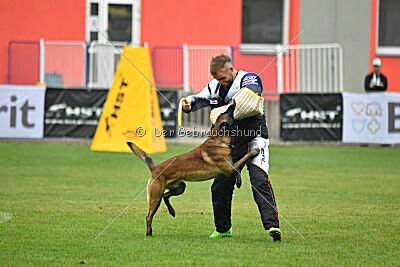 Be Eddy de Fontemordant