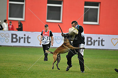 Be Eddy de Fontemordant