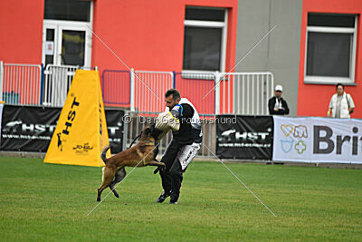 Be Eddy de Fontemordant