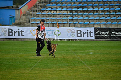 Be Eddy de Fontemordant