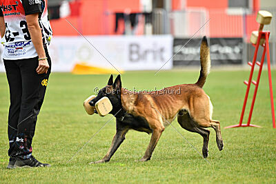 Be Eddy de Fontemordant