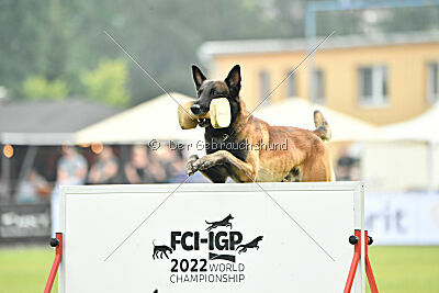 Be Eddy de Fontemordant