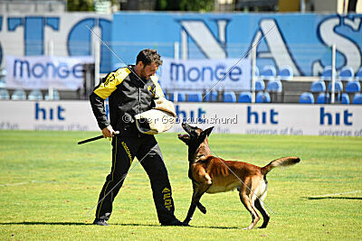 Be Eddy de Fontemordant