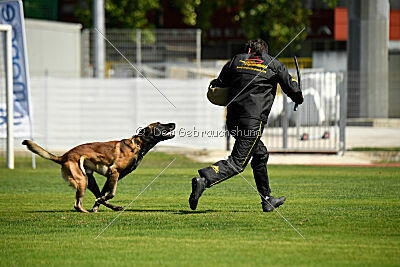 Be Eddy de Fontemordant