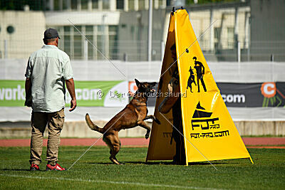 Be Eddy de Fontemordant