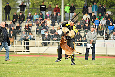 Be Eddy de Fontemordant