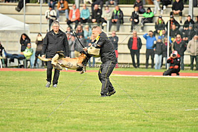 Be Eddy de Fontemordant