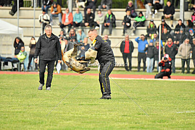 Be Eddy de Fontemordant