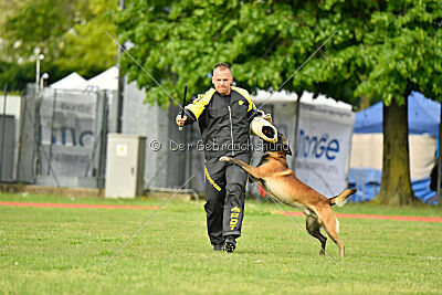 Be Eddy de Fontemordant