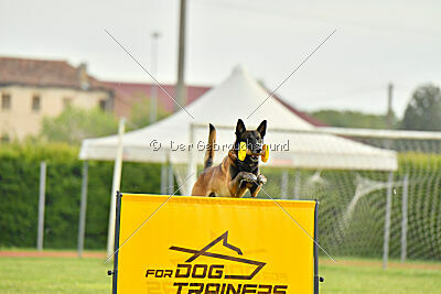 Be Eddy de Fontemordant