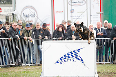 Bea vom Great Digger