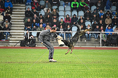 Bea vom Great Digger