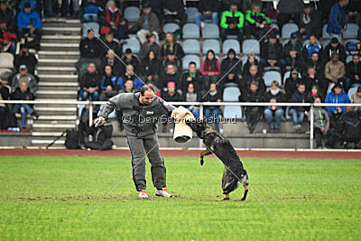 Bea vom Great Digger