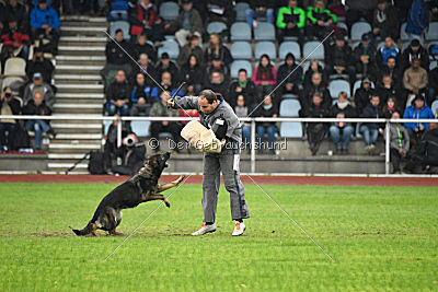 Bea vom Great Digger