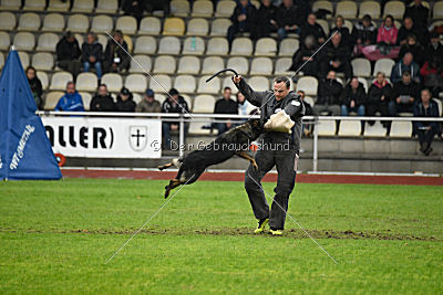 Bea vom Great Digger