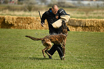 Bear Drive Unlimited