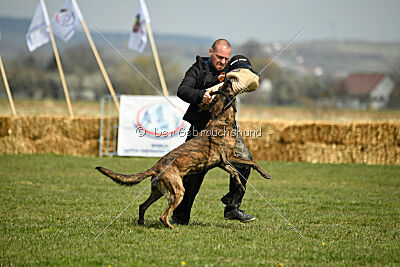 Bear Drive Unlimited