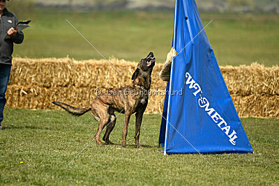 Bear Drive Unlimited