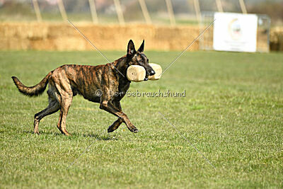 Bear Drive Unlimited