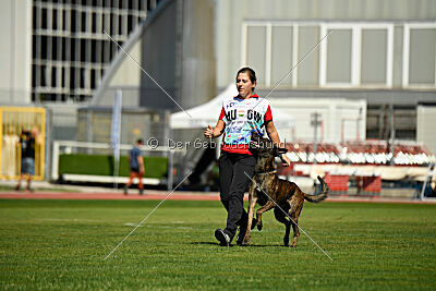 Bear Drive Unlimited