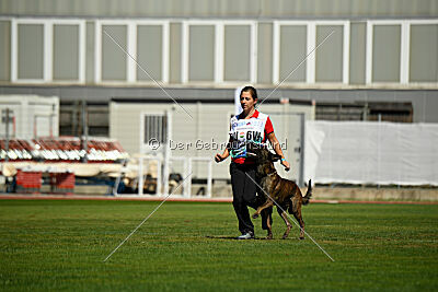 Bear Drive Unlimited