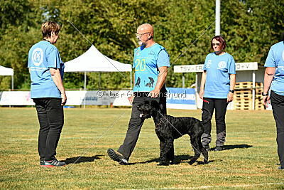 Beeslie von Elberfeld