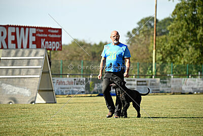 Beeslie von Elberfeld