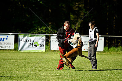 Beetlejuice on silent wings
