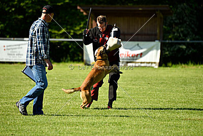 Beetlejuice on silent wings