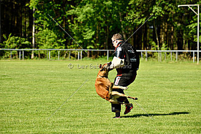 Beetlejuice on silent wings