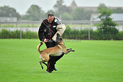 Bendix vom Schneidewind
