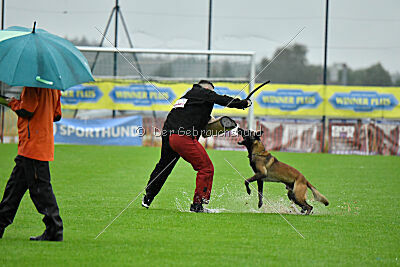 Bendix vom Schneidewind