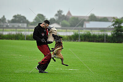 Bendix vom Schneidewind