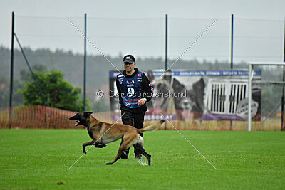 Bendix vom Schneidewind