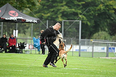 Benga vom Buxtehuder Bullen