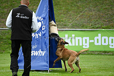 Benga vom Buxtehuder Bullen