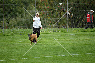 Benga vom Buxtehuder Bullen