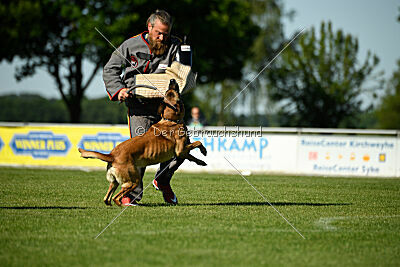 Benga vom Buxtehuder Bullen