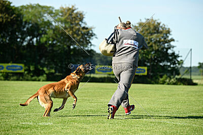 Benga vom Buxtehuder Bullen