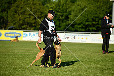 Benga vom Buxtehuder Bullen