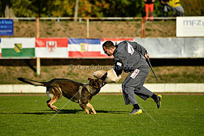 Benz vom Teufelsfeuer