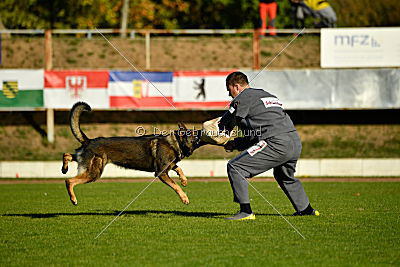 Benz vom Teufelsfeuer