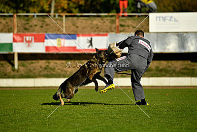 Benz vom Teufelsfeuer