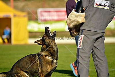 Benz vom Teufelsfeuer